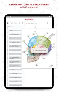 Netter's Anatomy Flash Cards screenshot 19