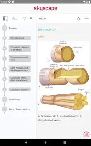 Pocket Anatomy and Physiology screenshot 15