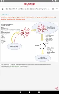 William Endocrinology Textbook screenshot 21