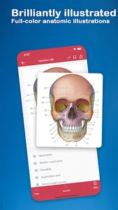 Gray's Anatomy Flash Cards screenshot 13