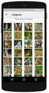 Imagenes de Tigres screenshot 1