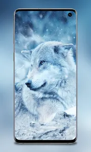 Cute Dog Wallpapers screenshot 4