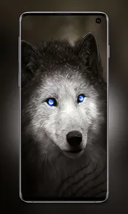 Cute Dog Wallpapers screenshot 6