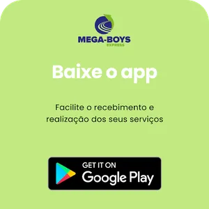 Megaboys - Profissional screenshot 8
