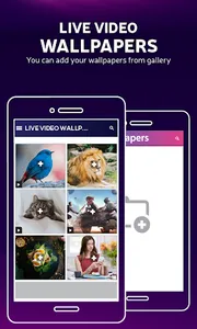 Live HD Video Wallpapers screenshot 3