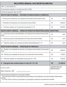 MEI Brasil screenshot 10
