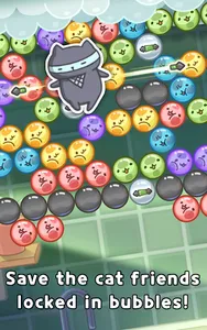 MitchiriNeko Bubble: Shooter screenshot 9