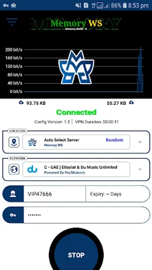 Memory WS screenshot 3