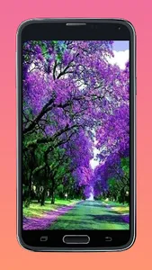 nature wallpapers screenshot 5