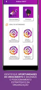 Análise SWOT screenshot 4