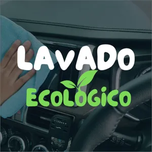 Lavado Ecológico screenshot 0