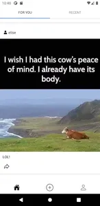 Mezefy - memes, funny pictures screenshot 1