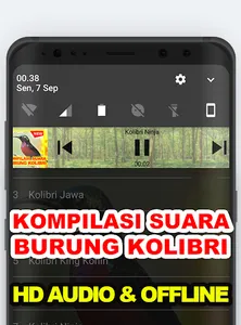 Suara Kicau: Burung Kolibri screenshot 1