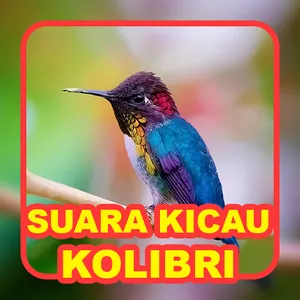 Suara Kicau: Burung Kolibri screenshot 2