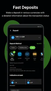 AVFX Capital screenshot 1