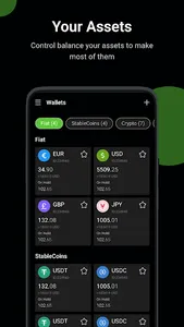 AVFX Capital screenshot 2