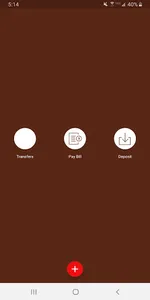 Cash Advantage screenshot 2