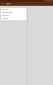 Cash Advantage screenshot 8