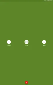 SEI Cash Access screenshot 7