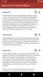 Constitución Política del Perú screenshot 2