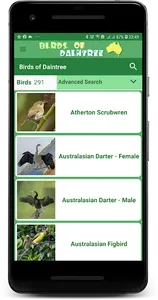 Australia Birds Daintree Demo screenshot 1