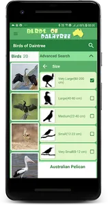 Australia Birds Daintree Demo screenshot 3