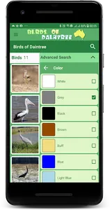 Australia Birds Daintree Demo screenshot 4