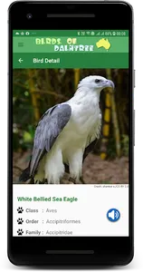 Australia Birds Daintree Demo screenshot 7