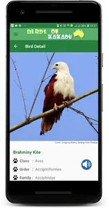 Australia Birds ID Kakadu Demo screenshot 6