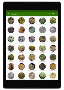 Zamalia screenshot 3