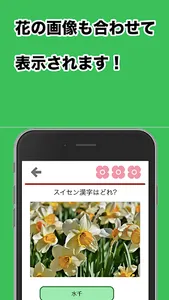漢字クイズ　(花、植物編) screenshot 2