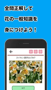 漢字クイズ　(花、植物編) screenshot 3