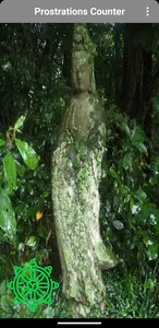 Prostrations Counter screenshot 0