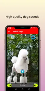 50 Dog sounds screenshot 3