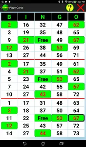Bingo Caller Deluxe screenshot 12