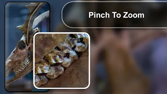 Microscope Magnifier Camera screenshot 4