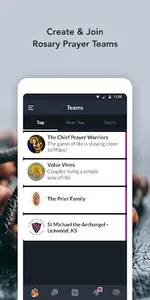 Daily Rosary Meditations screenshot 2