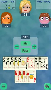 Pinochle screenshot 0