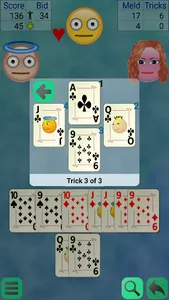 Pinochle screenshot 3