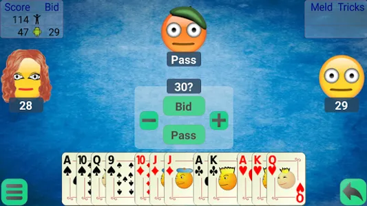 Pinochle screenshot 7