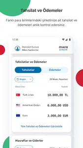 Mikro Şirketim screenshot 1