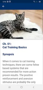 Cat Training screenshot 18