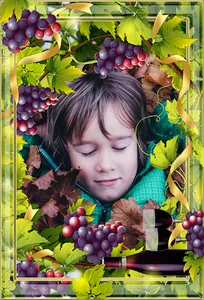 Autumn Photo Frames screenshot 14