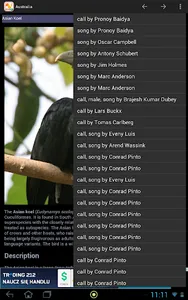 World birds screenshot 3