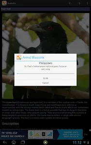 World birds screenshot 4