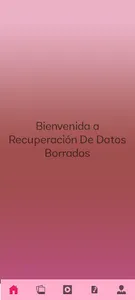 Recuperar De Datos Borrados screenshot 2
