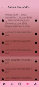 Recuperar De Datos Borrados screenshot 5