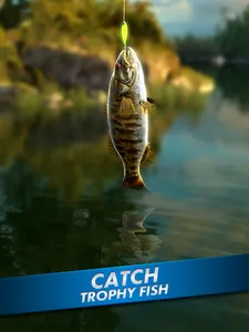 Ultimate Fishing! Fish Game screenshot 14