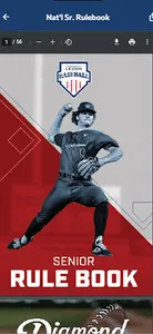 Minnesota Legion Baseball screenshot 2