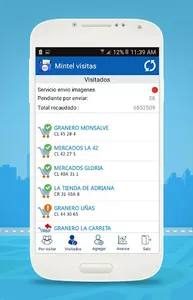 Mintel visitas screenshot 0